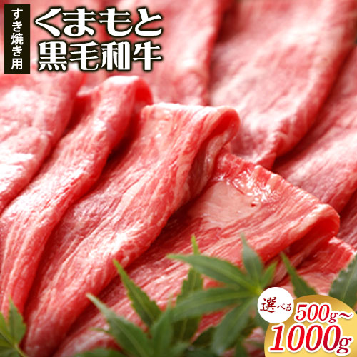 牛肉 くまもと黒毛和牛 すき焼き用 500g 1000g 肉 黒毛和牛 すき焼き 長洲501《30日以内に出荷予定(土日祝除く)》 1419053 - 熊本県長洲町