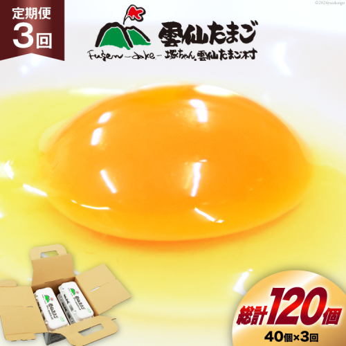 BI031 3回 定期便 雲仙たまごLサイズ 40個 (10個入り×4パック) (37個＋割れ補償3個入り) [ 卵 たまご 生卵 鶏卵 赤卵 玉子 新鮮 塚ちゃん雲仙たまご村 長崎県 島原市 ] 1419057 - 長崎県島原市