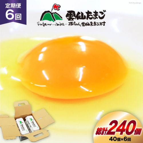 BI032 6回 定期便 雲仙たまごLサイズ 40個 (10個入り×4パック) (37個＋割れ補償3個入り) [ 卵 たまご 生卵 鶏卵 赤卵 玉子 新鮮 塚ちゃん雲仙たまご村 長崎県 島原市 ] 1419072 - 長崎県島原市