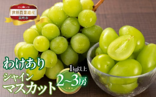 山梨県笛吹市産　訳ありシャインマスカット　1kg以上　2房から3房 223-008