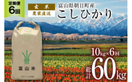 【6ヶ月定期便】玄米  こしひかり 10kg 計60kg [有限会社 クリーンみず穂 富山県 朝日町 34310354] 米 お米 コシヒカリ コメ ご飯 ごはん 白米 農家 直送 一等米