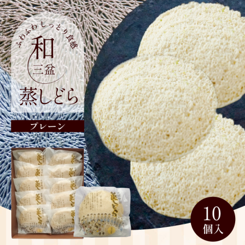 【蒸しどら プレーン 10個入 】和三盆 どら焼き 餡 ふわふわ しっとり食感 H181-004 1419254 - 愛知県碧南市