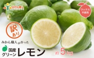 【訳あり品】みかん職人の国産グリーンレモン（りのか）2.5kg