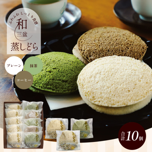 【蒸しどら3種  10個入 】和三盆 プレーン×5 抹茶×3 コーヒー×2 どら焼き 和菓子  餡 ふわふわ しっとり食感 H181-006 1419260 - 愛知県碧南市