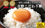 吉野 MICA卵 Lサイズ 30個 （27個＋割れ保証3個） 【田原本町×吉野町共通返礼品】 ／ 野澤養鶏 おいしい たまご 奈良県