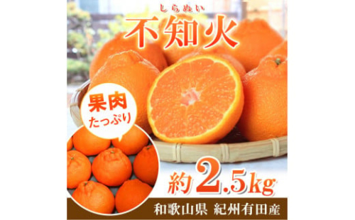 【先行予約】紀州有田産不知火(しらぬひ) 2.5kg ※2025年2月中旬頃～3月中旬頃に順次発送予定（お届け日指定不可）/ みかん 不知火 和歌山 フルーツ 有田【uot794】 1419720 - 和歌山県北山村