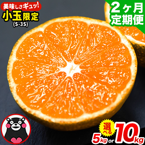 訳あり みかん 小玉みかん くまもと小玉みかん 5kg (2.5kg×2箱) 10kg (10kg×1箱) 選べる回数 秋 旬 不揃い 傷 ご家庭用 SDGs 小玉 たっぷり 熊本県 産 S-3Sサイズ フルーツ 旬 柑橘 長洲町 温州みかん《10月-11月出荷》 1419725 - 熊本県長洲町