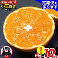 訳あり みかん 小玉みかん くまもと小玉みかん 5kg (2.5kg×2箱) 10kg (10kg×1箱) 選べる回数 秋 旬 不揃い 傷 ご家庭用 SDGs 小玉 たっぷり 熊本県 産 S-3Sサイズ フルーツ 旬 柑橘 長洲町 温州みかん《10月から出荷》