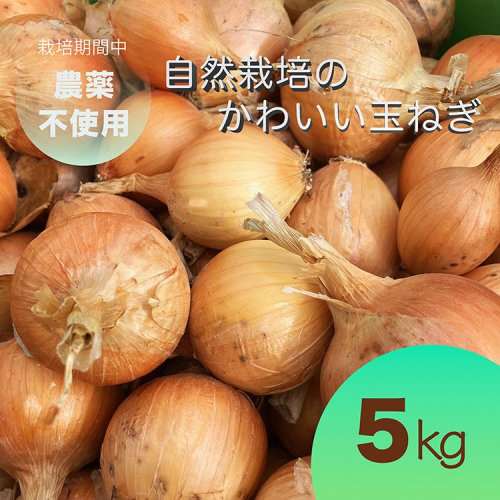 【先行予約】たまねぎ 5kg 自然栽培のかわいい玉ねぎ（小たまねぎ）京都府・亀岡産 かたもとオーガニックファームよりお届け ｜ 訳あり 玉葱 タマネギ 小さめ サイズ小 ※離島への発送不可 ※2025年6月頃より順次発送予定 1419984 - 京都府亀岡市