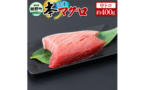 ～四国一小さなまち～ 本まぐろ 中トロ 約400g 本マグロ 本鮪 中とろ 刺身 刺し身 さしみ 魚 魚介 海鮮 海鮮丼 寿司 海の幸 生鮮 おかず おつまみ 惣菜 おいしい 美味しい 1420043 - 高知県田野町