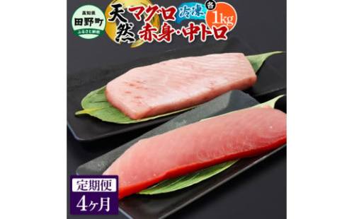 ～四国一小さなまち～ 天然マグロ（赤身・中トロ 各1kg）4ヶ月定期便 まぐろ 鮪 中とろ 刺身 刺し身 さしみ 魚 魚介 海鮮 海鮮丼 寿司 海の幸 おかず おつまみ 惣菜 おいしい 1420047 - 高知県田野町