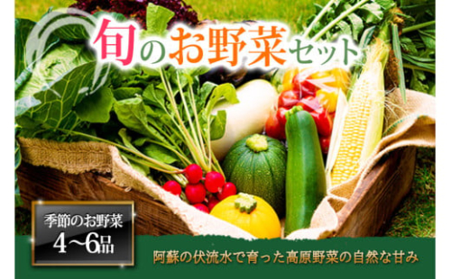 ＜畑から直送＞季節のお野菜セットをお届け！【Mサイズ】旬のお野菜の中から4～6品を厳選♪ 野菜 新鮮 野菜セット やさい 農家直送 産地直送 野菜 厳選 こだわり 朝採れ 採れたて フレッシュ サラダ 高原野菜 果物 フルーツ 詰め合わせ おまかせ 大地の恵み 贈り物 ギフト  家族 一人暮らし 主婦 料理 お弁当 人気 おすすめ お取り寄せ 野菜 熊本県 阿蘇市