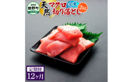 ～四国一小さなまち～ 天然マグロ切り落とし 2kg 12ヶ月定期便 まぐろ 鮪 スライス 刺身 刺し身 さしみ 魚 魚介 海鮮 海鮮丼 寿司 海の幸 おかず おつまみ 惣菜 簡単 時短 おいしい