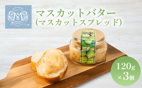 マスカット バター （ マスカット スプレッド ）120g×3個 乳製品 果物 ぶどう フルーツ 142046 - 岡山県赤磐市