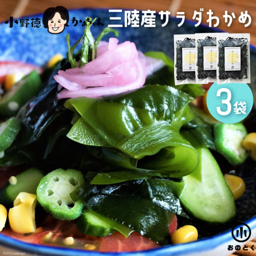 【2つの食感】 三陸産 サラダわかめ 170g ×3袋 [小野徳 宮城県 気仙沼市 20565558] 海藻 ワカメ わかめ 若布 塩蔵わかめ 塩蔵 コリコリ シャキシャキ 冷蔵 142050 - 宮城県気仙沼市