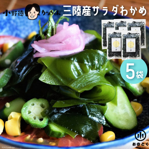 【2つの食感】 三陸産 サラダわかめ 170g ×5袋 [小野徳 宮城県 気仙沼市 20565557] 海藻 ワカメ わかめ 若布 塩蔵わかめ 塩蔵 コリコリ シャキシャキ 冷蔵 142051 - 宮城県気仙沼市