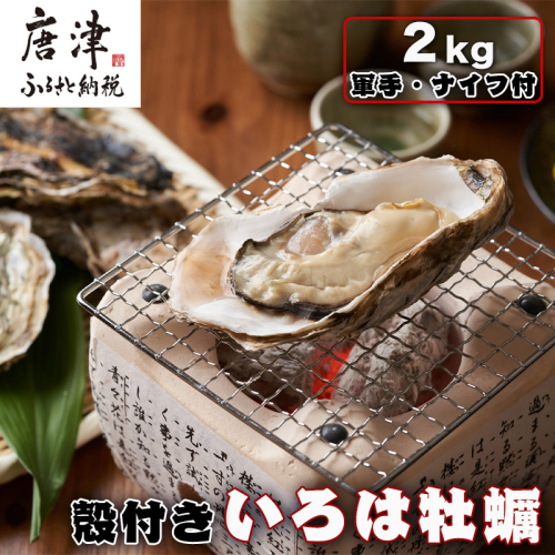 『先行予約』【12月中旬より順次発送】唐津産 殻付きいろは牡蠣 2kg(軍手・ナイフ付)期間限定 産地直送 殻付き 牡蠣 カキ 殻付き牡蠣 佐賀県 海鮮 BBQ 加熱用 お取り寄せ 贈り物 冬ギフト ギフト 1420863 - 佐賀県唐津市