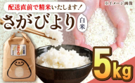 【2024年10月発送】令和5年産 さがびより 5kg 配送前精米 /江口農園 [UBF003] 米 お米 白米 精米 ブランド米