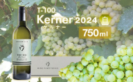 24-06B T100 Kerner〈白〉2024 750ml【ワインファームとちお】