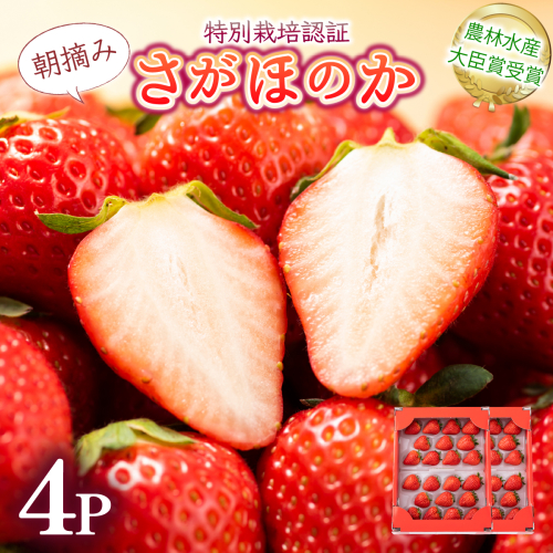 《先行予約・数量限定》あまい果汁溢れる最高級品質「さがほのか」約1kg（235g×4p） 1421449 - 佐賀県上峰町