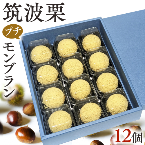 筑波 栗 の プチ モンブラン 約20g × 12個 和栗 和栗ペースト マロン クリーム 菓子 スイーツ オリジナル 洋菓子 和菓子 和スイーツ [EK011sa] 1421450 - 茨城県桜川市