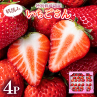 《先行予約・数量限定》佐賀県人気NO1「いちごさん」約1kg（235g×4p）