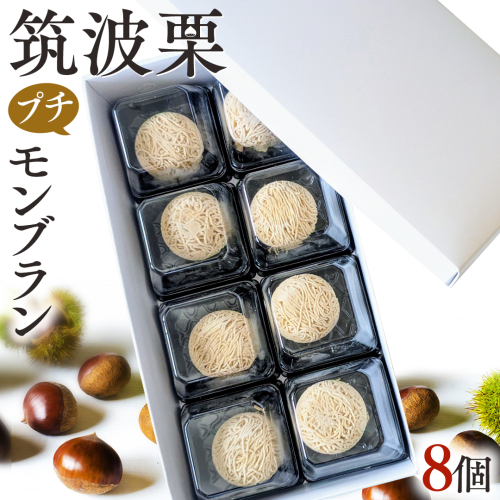 筑波 栗 の プチ モンブラン 約20g × 8個 和栗 和栗ペースト マロン クリーム 菓子 スイーツ オリジナル  洋菓子 和菓子 和スイーツ [EK012sa] 1421518 - 茨城県桜川市