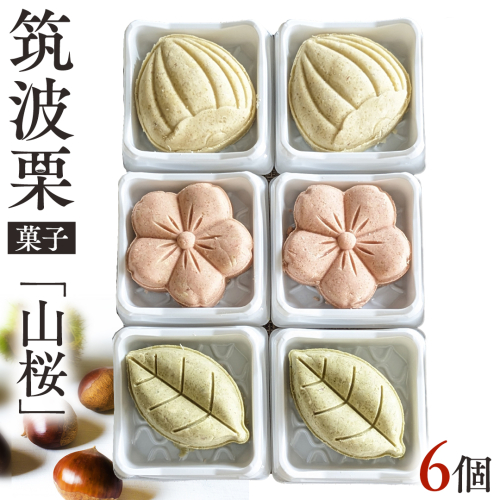 筑波 栗 菓子『 山桜 』 和栗 和栗ペースト マロン クリーム 蜂蜜 はちみつ ハチミツ てんさい糖 もち粉 菓子 和菓子 和スイーツ オリジナル [EK014sa] 1421522 - 茨城県桜川市
