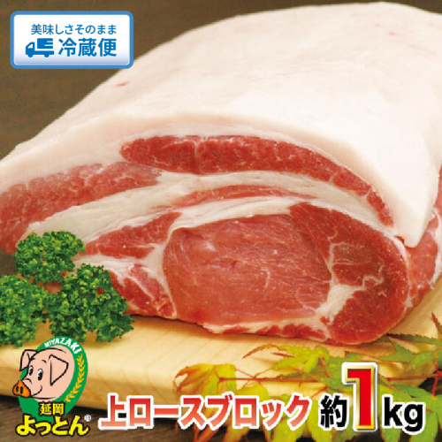 延岡よっとん 上ロースブロック約1kg N003-YB129 142195 - 宮崎県延岡市