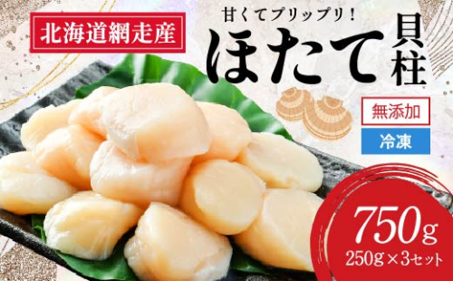 網走前浜産 無添加ホタテ貝柱【 750g (250g×3) 】 ABAI032 1421960 - 北海道網走市