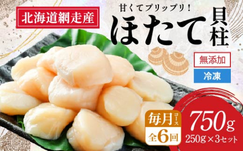 【全6回（毎月）】網走前浜産 無添加ホタテ貝柱750g（250g×3袋） ABAI035 1421961 - 北海道網走市