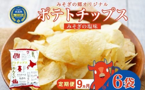 定期便 全9回北海道 オリジナル ポテトチップス 60g 6袋 塩味 道の駅 オリジナル パッケージ ポテチ しお じゃがいも ジャガイモ お菓子 スナック おやつ おつまみ あっさり ポテトチップス みそぎの郷 ご当地 送料無料 木古内 1421989 - 北海道木古内町