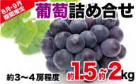 【先行予約】葡萄Aセット　約1.5kg～約2kg（2021年8月発送開始）　A421