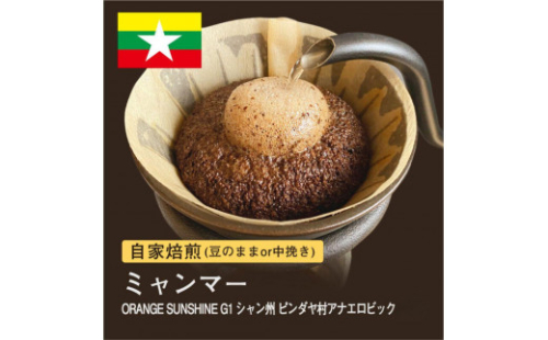 自家焙煎コーヒー！ #180 310g ミャンマー ORANGE SUNSHINEG1 シャン州 ピンダヤ村 珈琲（豆または中挽きから選択） 1422332 - 大阪府堺市