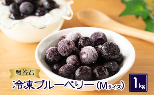 ブルーベリー【冷凍ブルーベリー(Mサイズ)1kg 贈答品】冷凍 完熟 果物 トッピング ヨーグルト 信州 長野 1422341 - 長野県小諸市