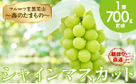 ［フルーツ王国岡山～森のたまもの～］朝採り直送！シャインマスカット 1房 700g前後［025-a004］