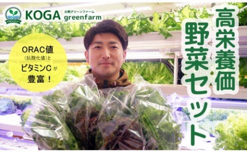 高栄養価野菜セット　A506 142238 - 宮崎県延岡市