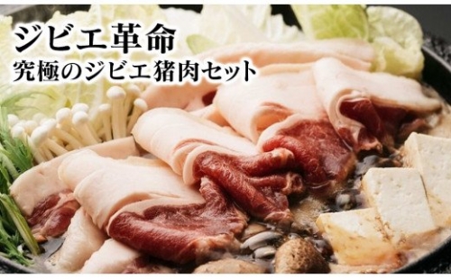 ジビエ革命～究極のジビエ　猪肉セット　A508 142239 - 宮崎県延岡市