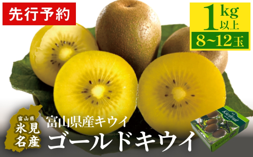 【先行予約】富山県産キウイ（ゴールドキウイ）1kg以上（８～12玉） ＜2025年11月中旬以降順次発送＞  富山県 氷見市 果物 フルーツ キウイ 1422440 - 富山県氷見市