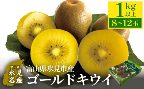 富山県産 ゴールドキウイ 1kg以上（８～12玉）  1422440 - 富山県氷見市