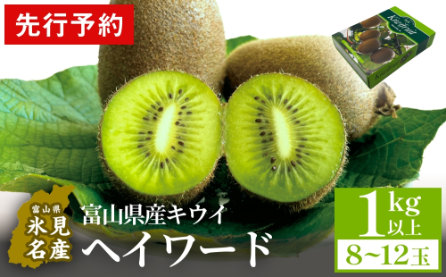 【先行予約】富山県産キウイ（ヘイワード）1kg以上（８～12玉）  【2025年12月中旬以降順次発送】  | 国産 数量限定 グリーンキウイ 富山 氷見 果物 フルーツ キウイ 1422441 - 富山県氷見市