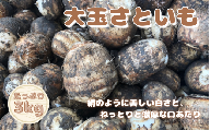 【先行予約】令和6年産 五泉産 大玉さといも 3㎏（2L以上） 新潟県 五泉市 ファームみなみの郷