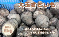 【先行予約】令和6年産【訳あり】五泉産　大玉さといも（2L以上）3㎏ 新潟県 五泉市 ファームみなみの郷