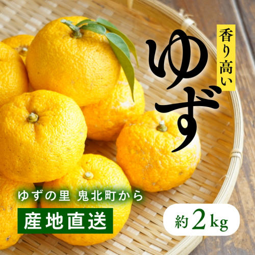 愛媛県鬼北町産ゆず　約2kg【 果物 柑橘 国産 日本産 香りが強い 良質なゆず ゆずの里 産地直送 ゆずジャム ゆず茶 】※2024年10月中旬～11月下旬頃に順次発送予定 1422887 - 愛媛県鬼北町