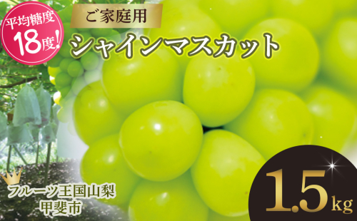 【2025年発送】 ご家庭用 シャインマスカット 約1.5kg 先行予約 山梨県産 産地直送 フルーツ 果物 くだもの ぶどう ブドウ 葡萄 シャイン 新鮮 人気 おすすめ 国産 不揃い 訳あり わけあり ワケアリ 糖度18～糖度20度 甲斐市 山梨 AN-130 1423071 - 山梨県甲斐市