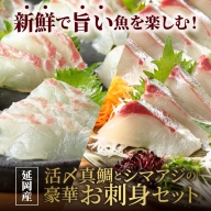 延岡産活〆真鯛とシマアジの豪華お刺身セット　B602  請関水産