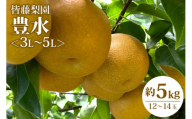 【数量限定・期間限定】【皆藤梨園】豊水（約5kg/3L～5L/12～14玉） 数量限定 期間限定 先行予約 梨 豊水 果物 なし ナシ ほうすい くだもの フルーツ 75-B