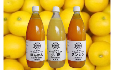 柑橘果汁飲料　希釈用1L×3本セット（全4種から選べる風味・自家製柑橘使用）【P-1】 14232 - 高知県土佐清水市