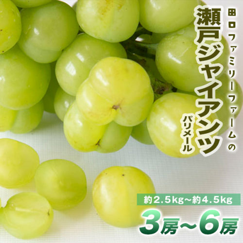 【田口ファミリーファーム】パリメール(瀬戸ジャイアンツ)3房~6房(約2.5kg~約4.5kg) N053-YZD0142 142360 - 宮崎県延岡市