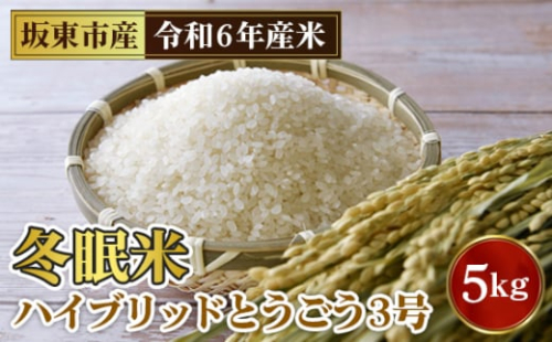 No.760 「令和6年産」冬眠米ハイブリッドとうごう3号　5kg ／ お米 コメ 粘り 茨城県 特産品 1423623 - 茨城県坂東市